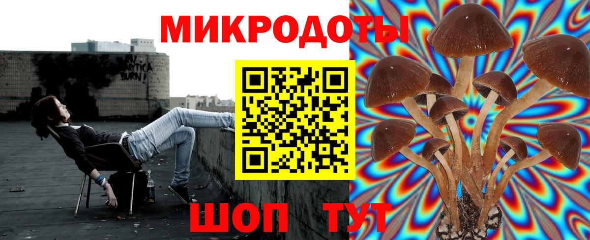Псилоцибиновые грибы мухоморы Нальчик